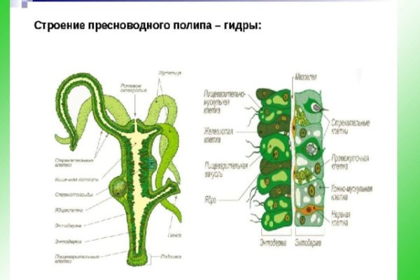 Кракен ссылка kraken