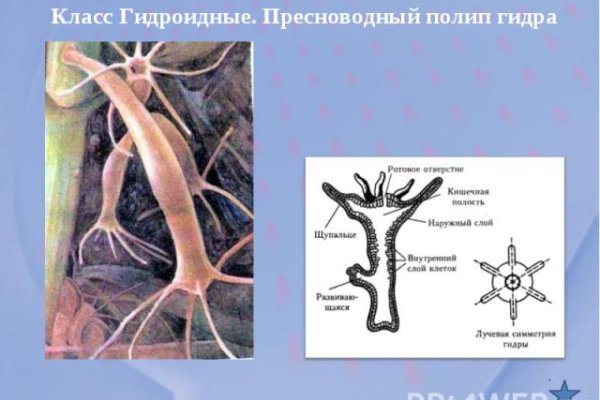 Кракен ссылка орион