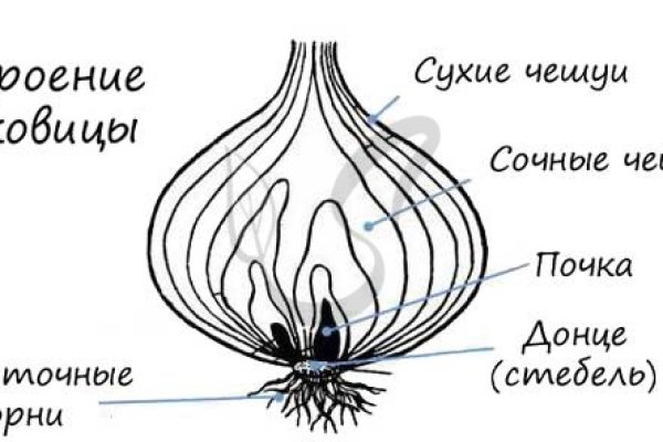 Kraken даркнет рынок