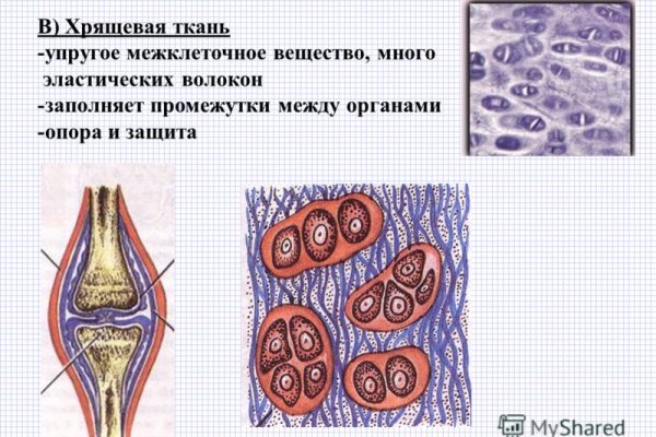 Как зарегистрироваться в kraken